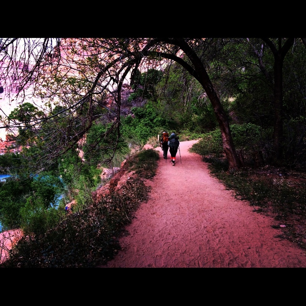 Meet your Posher, Kara